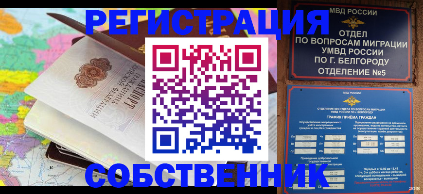 временная регистрация гарантия в Котовске
